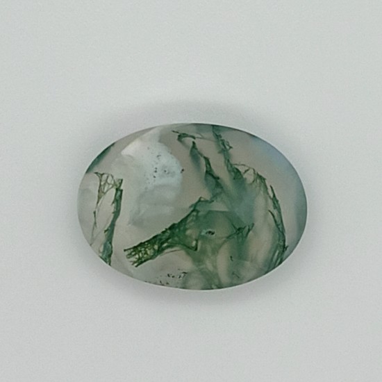 Tree Agate  6.69 Ct Good Quality